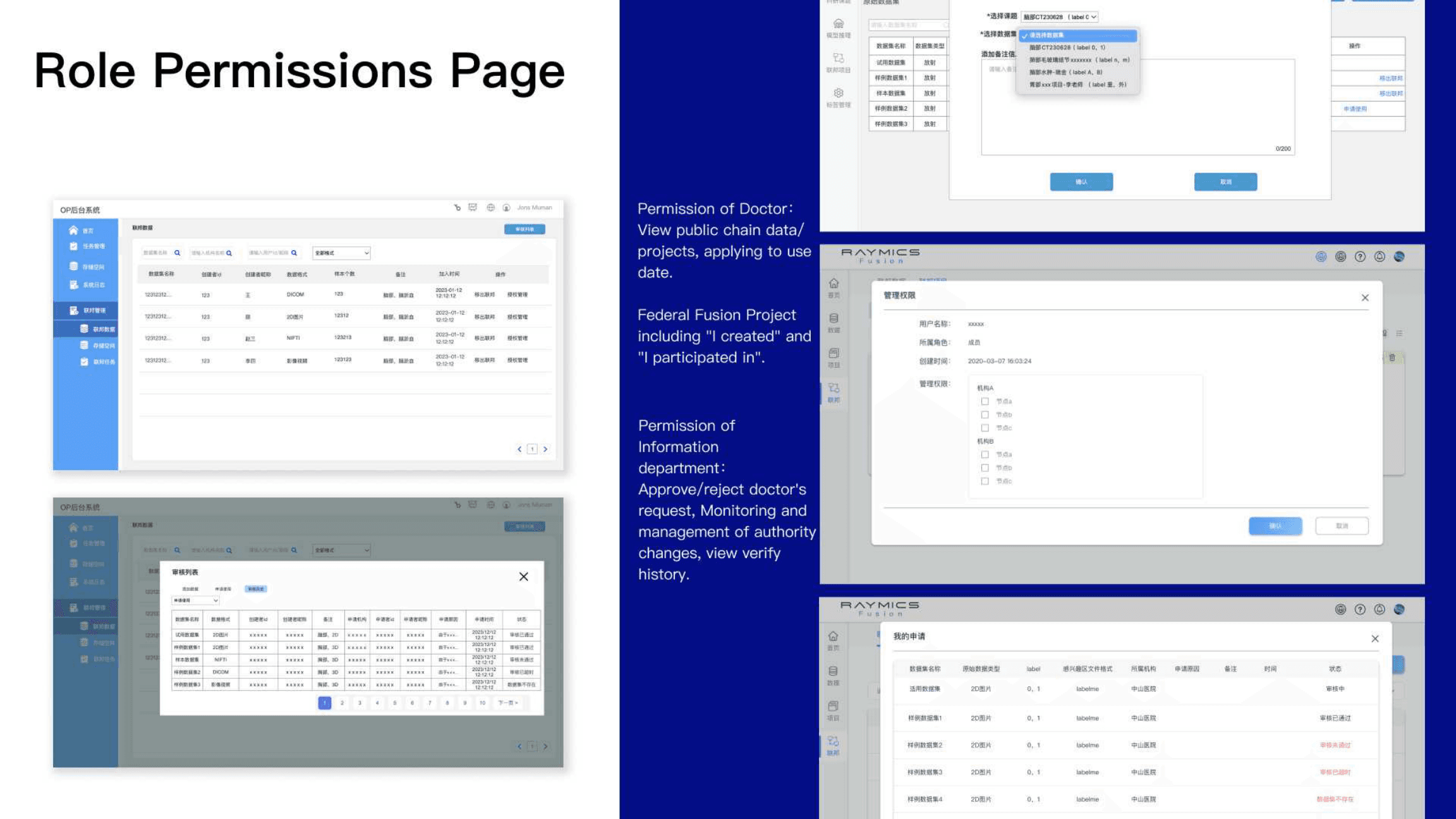 Role permissions page for apply, audit, and access management