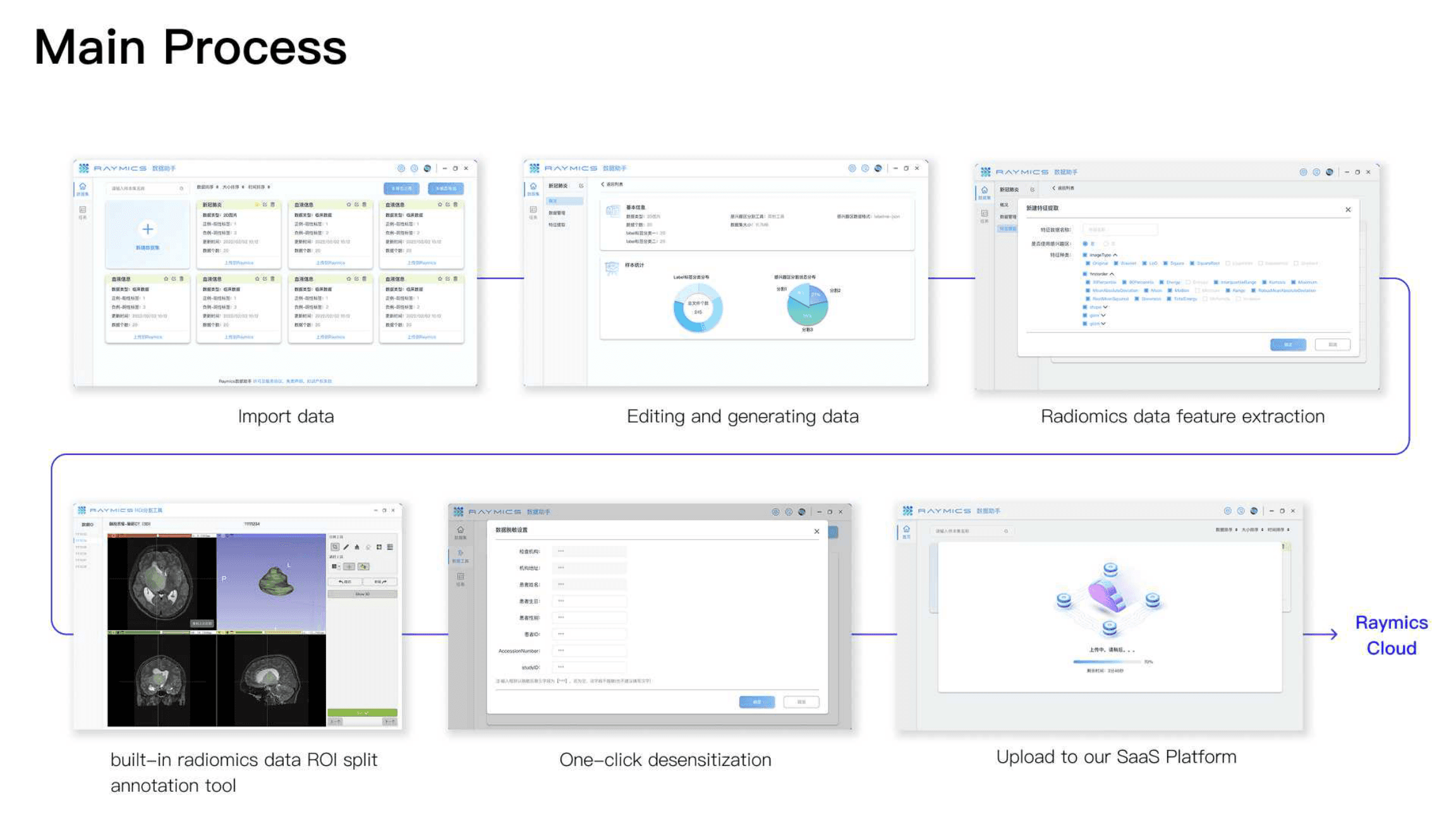 Main process workflow from import through ROI, desensitize, and upload